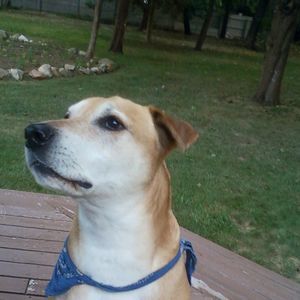 Meet your Posher, Tara